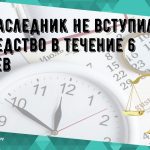 Последствия не взятия наследства в течение 6 месяцев по закону