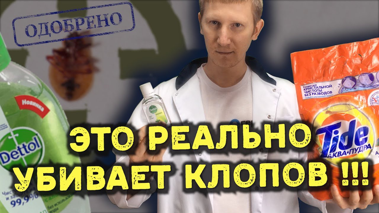 Эффективные способы избавиться от клопов в доме