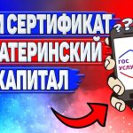 Как найти информацию о материнском капитале на официальном сайте Госуслуг